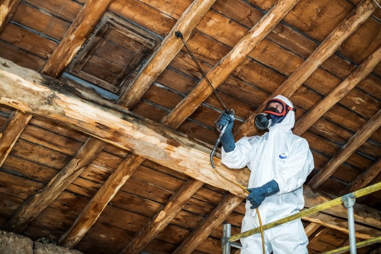 Traitement et consolidation d'une charpente traditionnelle en bois